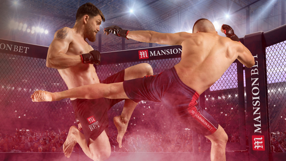 UFC MMA Fight Promo Image